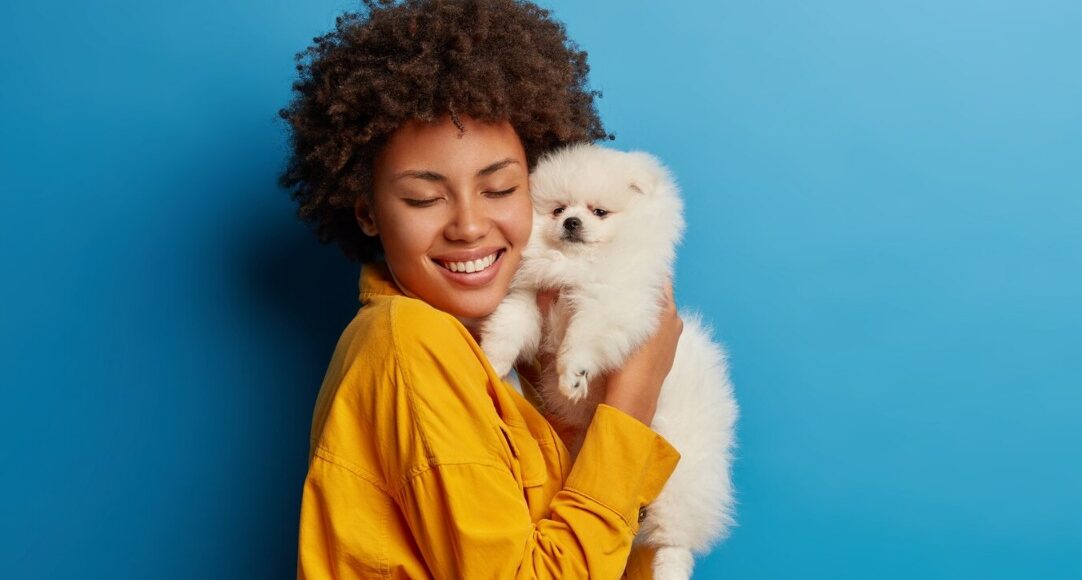 Maes De Pet Como Os Animais Se Tornaram Filhos Entre Os Brasileiros