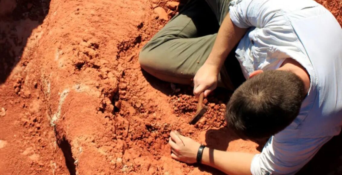 Fossil Descoberto No Brasil Lanca Luz Sobre Origem Dos Dinossauros