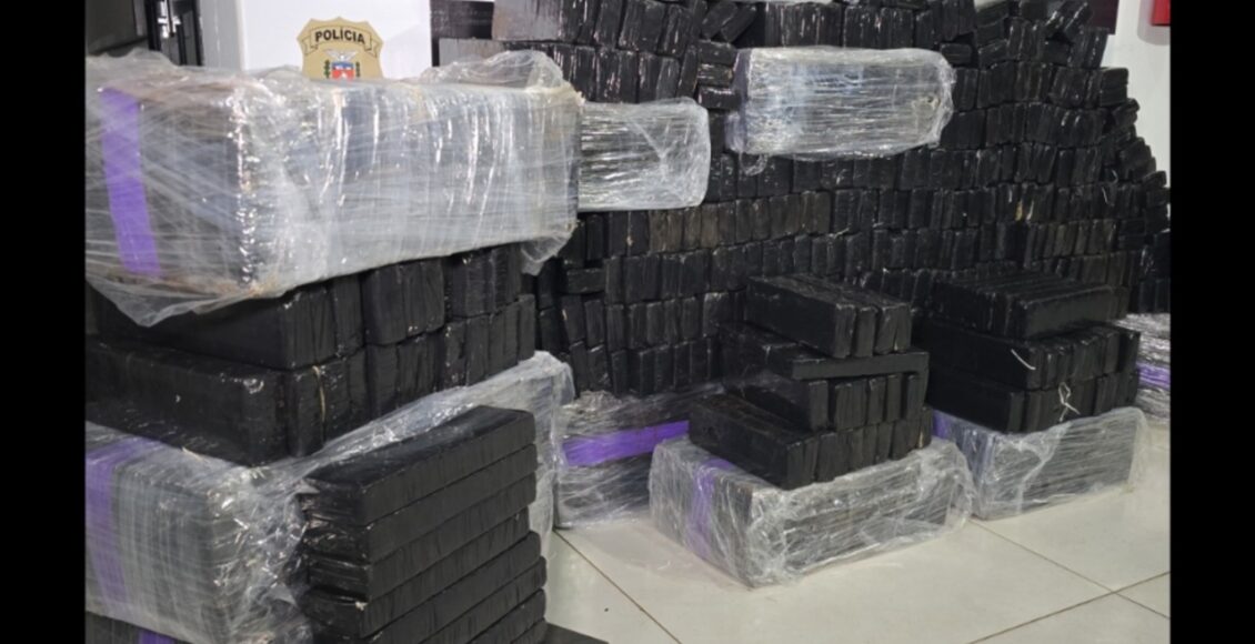 Policia Apreende Mais De 600 Quilos De Maconha Em Chacara De Maringa Dois Foragidos Sao Presos