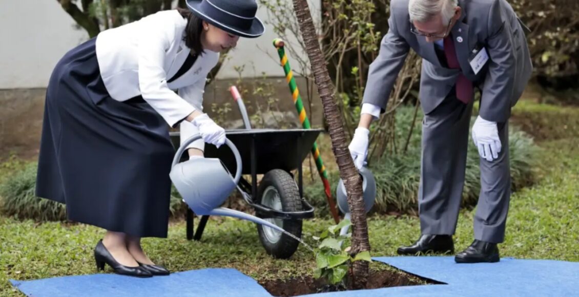 Princesa Japonesa Chega Ao Brasil E Visitara Maringa Durante Comemoracao Dos 130 Anos De Lacos Diplomaticos