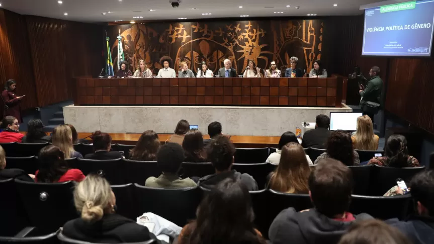 Audiencia Publica Da Alep Trata Dos Impactos Da Violencia Politica De Genero Na Democracia Brasileira