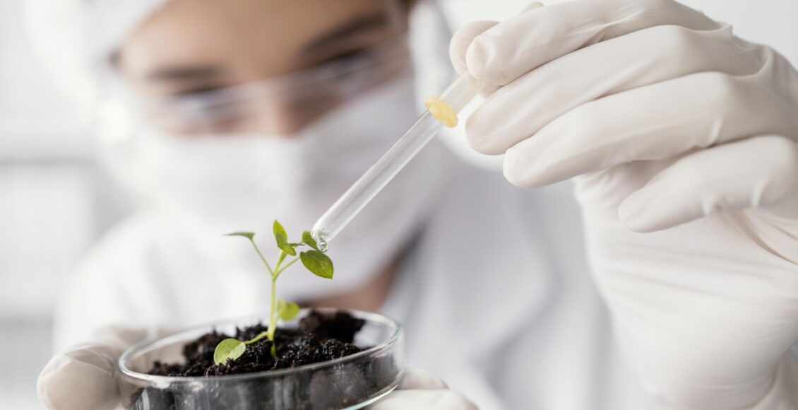 Close Up Cientista Regando Planta