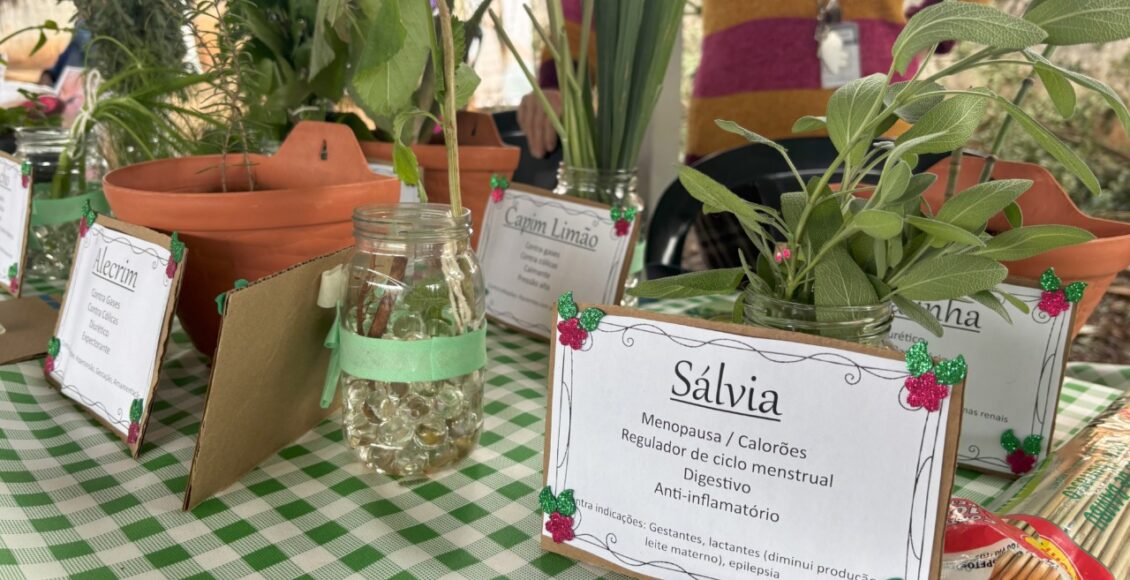 Maringa Lanca Projeto Plantas Medicinais Territorializacao Da Politica Nacional Nesta Sexta Feira 1