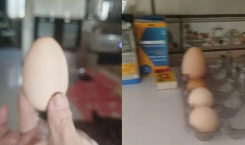 Maringá Post (50)