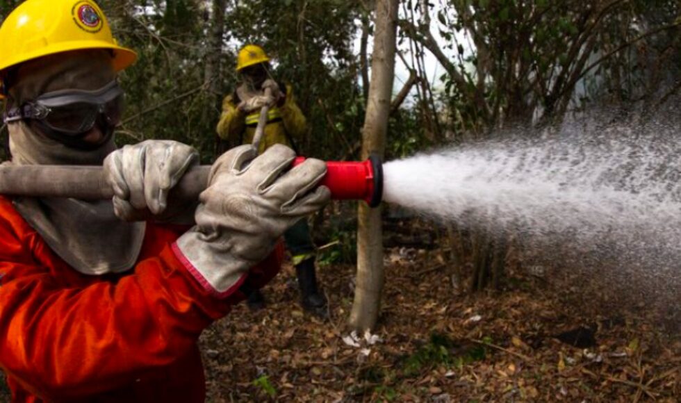 Brasil Tem Queda De 61 Nas Areas Queimadas Em Julho Na Comparacao Com O Ano Passado