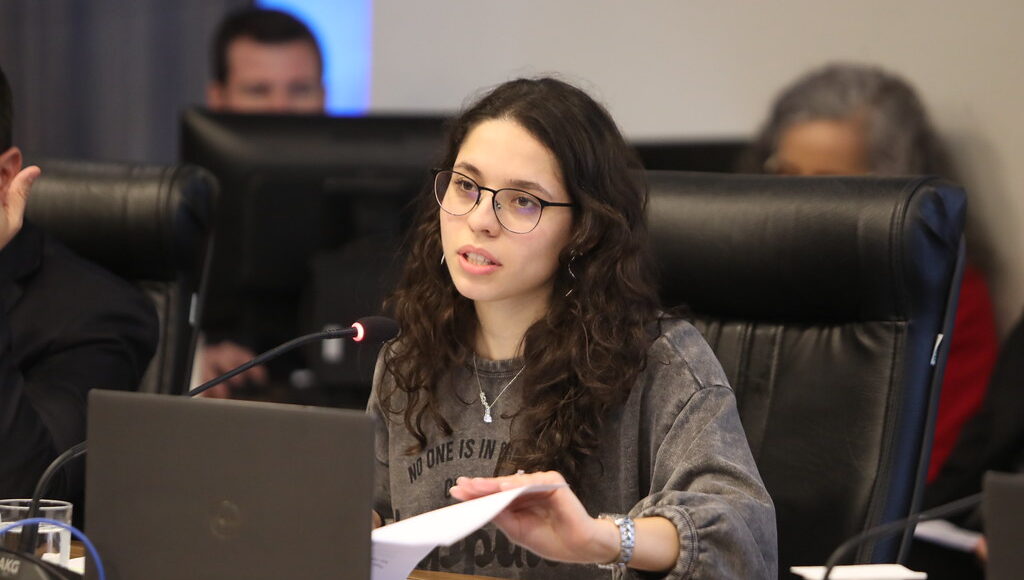 Deputada Ana Julia Defende Virada Cultural Em Espaco Acessivel Em Maringa