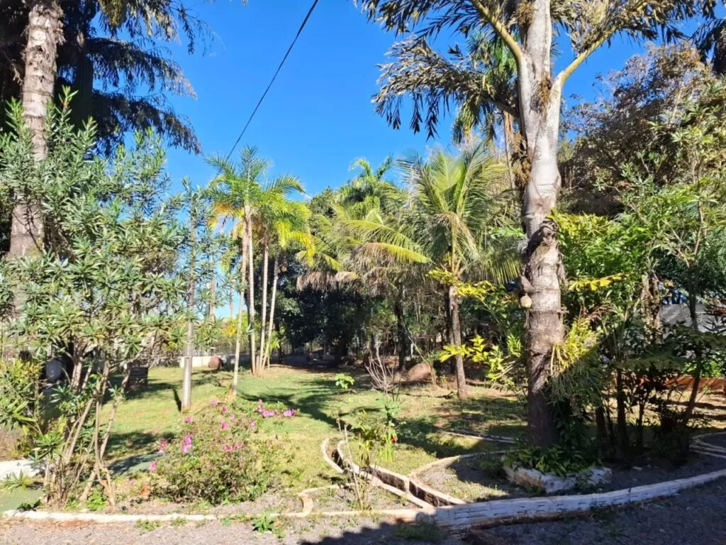 Image 1 2
