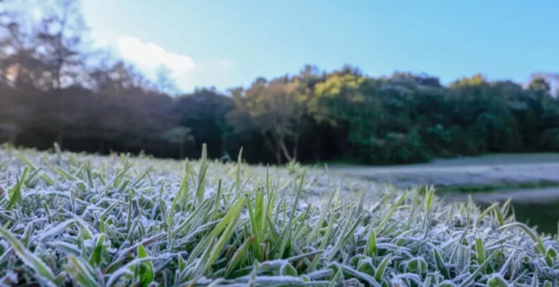 Maringa E Regiao Estao Em Alerta Para Queda De Temperatura E Risco De Geada Avisa Inmet