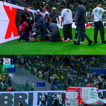 Torcedor que invadiu gramado durante jogo de Palmeiras e Santos é morador da região de Maringá