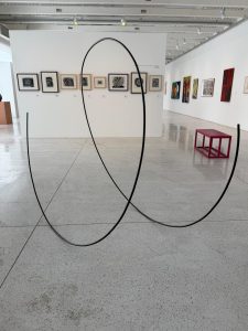 Museu de Arte Contemporânea