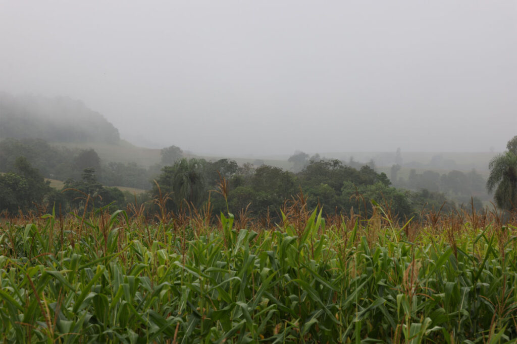 Maringá tem alerta de temporal e forte queda de temperatura nesta sexta-feira (12)