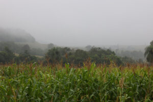 Maringá tem alerta de temporal e forte queda de temperatura nesta sexta-feira (12)