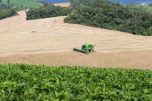 Agropecuária do Paraná mais que dobra faturamento em seis anos e alcança R$ 212,6 bilhões