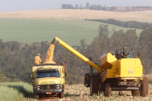 Safra de verão do Paraná bate recorde e alcança 26,3 milhões de toneladas