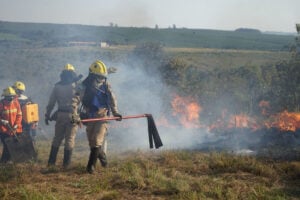 Paraná lança campanha para prevenir incêndios florestais durante período de estiagem