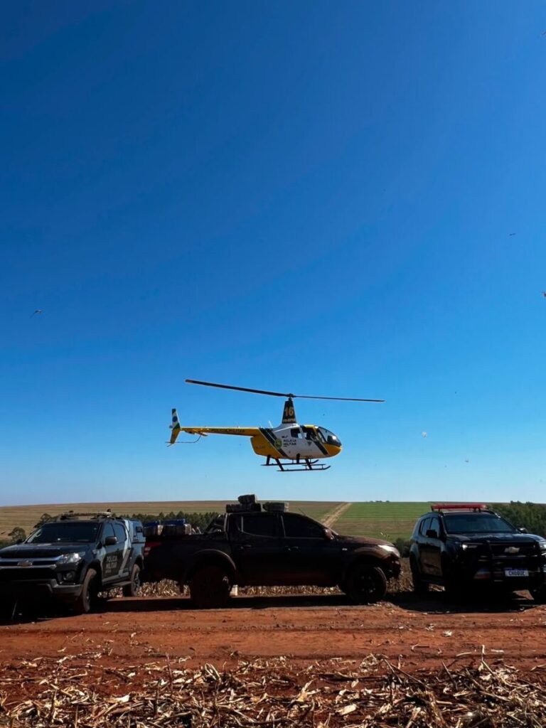 Com apoio de helicóptero, PM apreende quase meia tonelada de maconha na região de Jussara