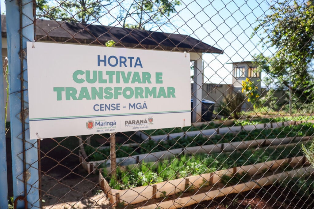 Horta em Cense de Maringá ensina cultivo e leva verduras para famílias de adolescentes