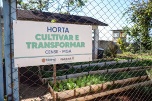 Horta em Cense de Maringá ensina cultivo e leva verduras para famílias de adolescentes