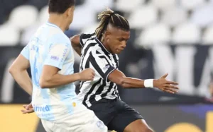 Botafogo vence o Grêmio por 3 a 2 em jogo atrasado do Brasileirão
