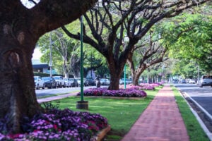 Foto: Rafael Macri/PMM