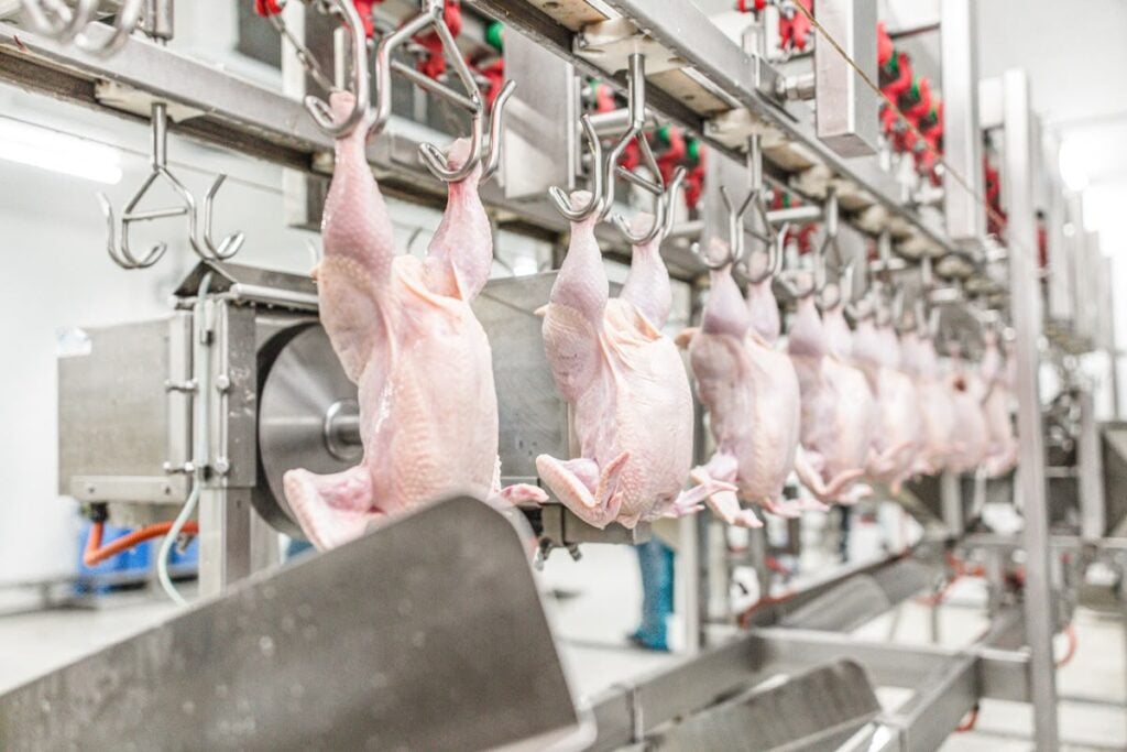 Sistema FAEP vê possibilidade de retomada das exportações de frango do Paraná para a União Europeia