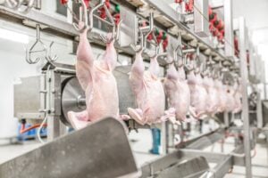 Sistema FAEP vê possibilidade de retomada das exportações de frango do Paraná para a União Europeia