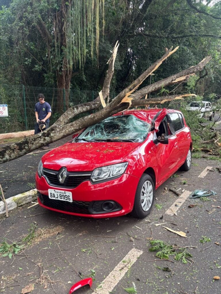 Foto: Corpo de Bombeiros