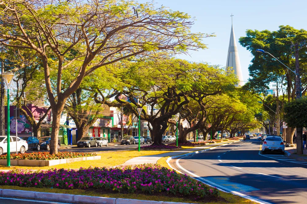 Foto: Cary Bertazzoni/Prefeitura de Maringá/Divulgação