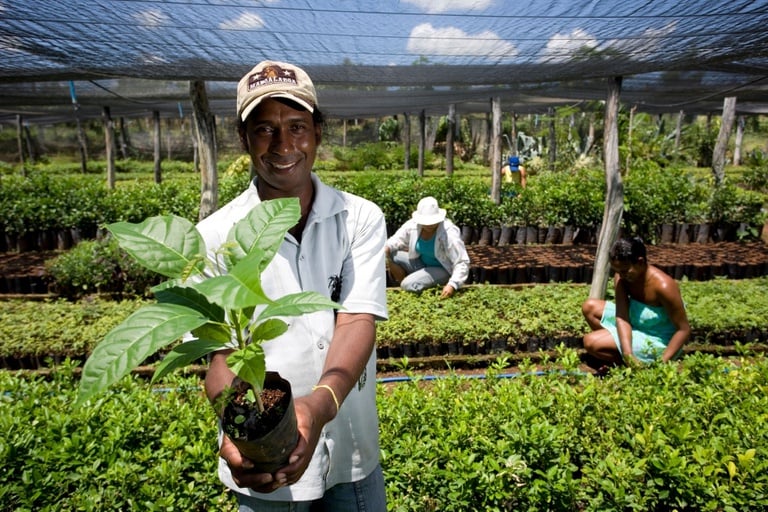 Foto: Reprodução / Ministério do Desenvolvimento Agrário e Agricultura Familiar