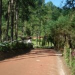 visconde de maua dez 2011 (15)